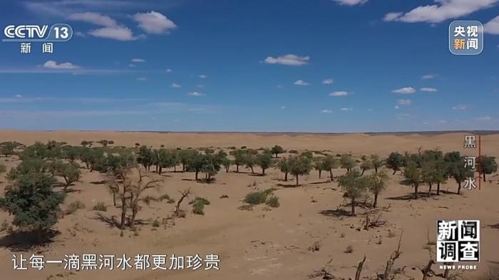 居延海：从干涸到复苏，大漠双璧的生态奇迹与记忆